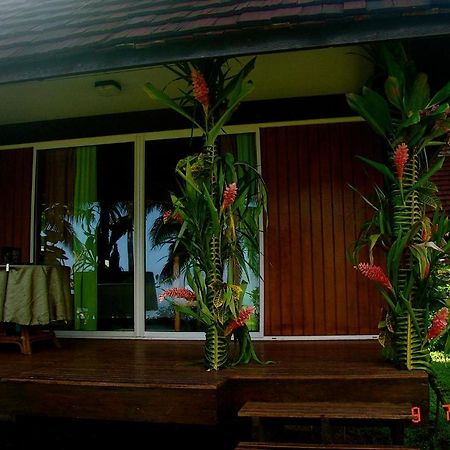 Tauhanihani Village Lodge La Vague Bleue Теахупоо Экстерьер фото